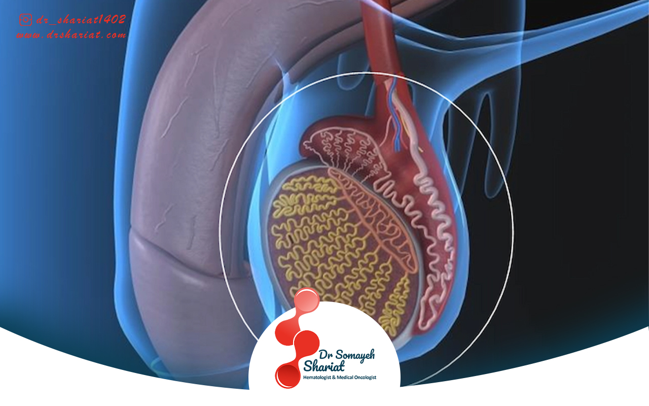 تاثیر درمان های نوین سرطان بیضه