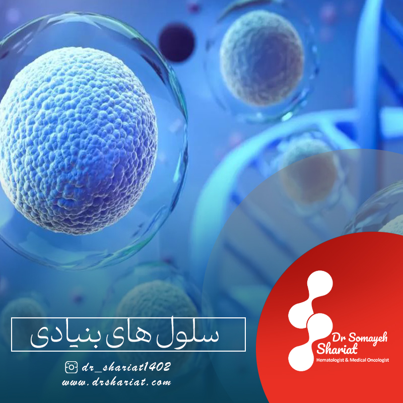 سلول های بنیادی چیست؟